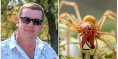 Житель Днепропетровской области лишился ног из-за укуса паука — соцсети