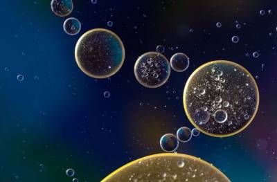 Ученые ближе подобрались к тайне вечной молодости стволовых клеток