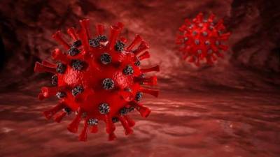Ученые установили основную причину смертей от гриппа
