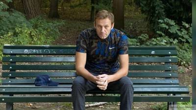 Бундесвер "спасовал" перед вопросами депутатов АдГ про Навального
