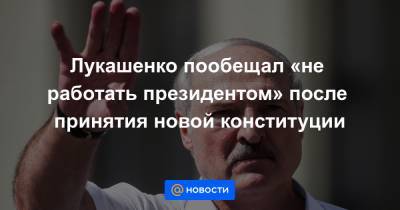 Лукашенко пообещал «не работать президентом» после принятия новой конституции