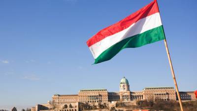 В Венгрии заявили, что в Европе существует лобби против вакцины «извне»