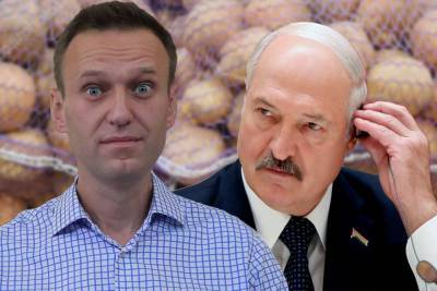 Навальный с подельниками подсказывают ЕС, как додавить Лукашенко