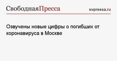 Озвучены новые цифры о погибших от коронавируса в Москве