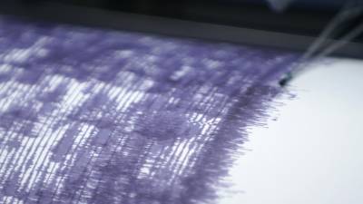 Землетрясение магнитудой 5,5 произошло у Курильских островов