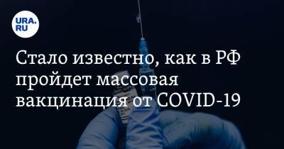 Стало известно, как в РФ пройдет массовая вакцинация от COVID-19. Схема и сроки