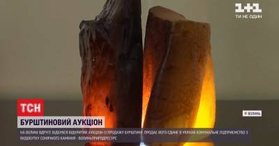 На волынском аукционе тонна янтаря ушла с молотка: как в регионе добывают солнечный камень