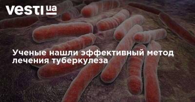 Ученые нашли эффективный метод лечения туберкулеза