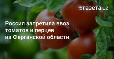Россия запретила ввоз томатов и перцев из Ферганской области