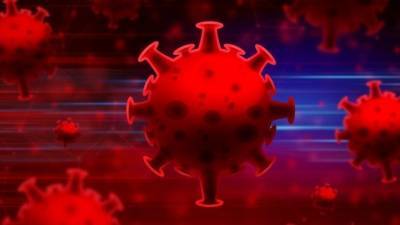 Куда исчезают антитела к коронавирусу — объясняет эксперт