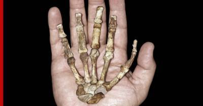 Названо отличие между руками неандертальца и современного человека