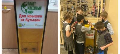 "Пластмассовый мир", который создают в Петрозаводске, охватил школы города