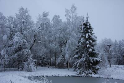 Снегопад оставил без света жителей Куньинского района