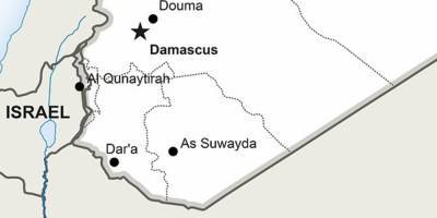 Немецкие СМИ: «Брат Башара Асада руководил газовой атакой в пригороде Дамаска»