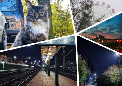 Котик и осеннее небо: топ-10 самых атмосферных фото из соцсетей