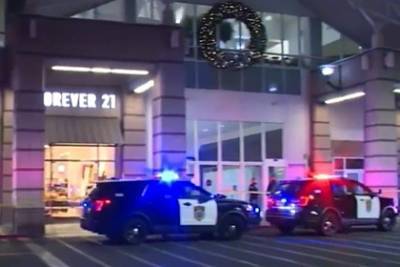 В США во время «черной пятницы» произошла стрельба в торговом центре