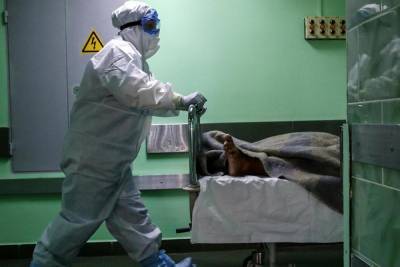 Еще 23 человека стали жертвами коронавируса на Дону