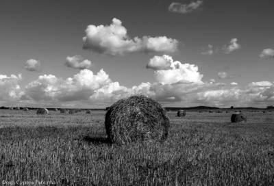 Воспоминания лета: житель Ленобласти показал низко плывущие облака над скошенным полем
