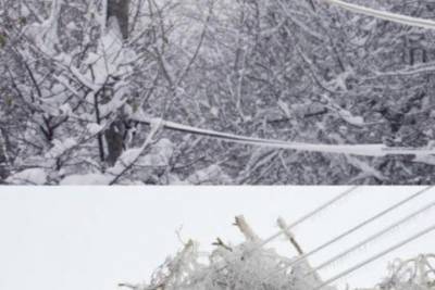 Последствия снегопада ликвидируют в районах Псковской области