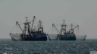 Рыбак погиб при столкновении сухогруза и судна у берегов Японии