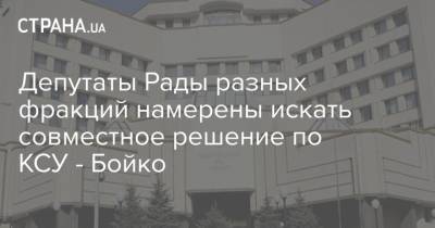 Депутаты Рады разных фракций намерены искать совместное решение по КСУ - Бойко