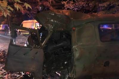 В Сочи водитель грузовика погиб, врезавшись в дерево