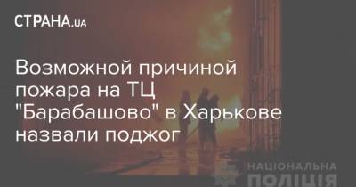 Возможной причиной пожара на ТЦ "Барабашово" в Харькове назвали поджог