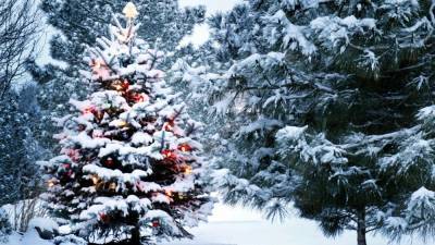 Будет ли снег на Рождество: прогноз погоды от синоптиков