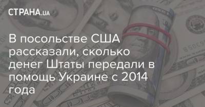 В посольстве США рассказали, сколько денег Штаты передали в помощь Украине с 2014 года