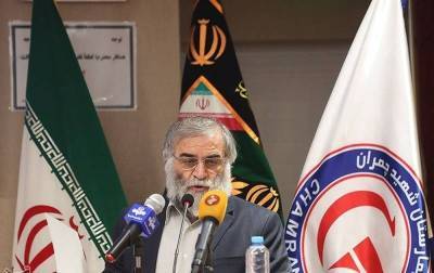 ООН призвала Иран смириться с ликвидацией ученого-ядерщика