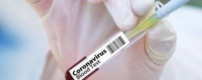 Белоруссия побила рекорд по количеству заразившихся коронавирусом