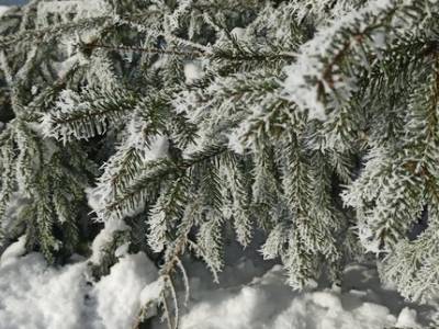 Синоптики рассказали о погоде в Башкирии в первые недели декабря