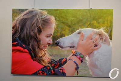 Выставка в «Доме с ангелом»: как собаки делают счастливыми особенных одесситов? (фото)
