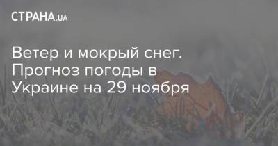 Ветер и мокрый снег. Прогноз погоды в Украине на 29 ноября