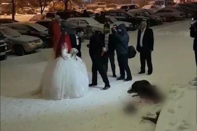 Подробности ЧП: в Челябинске во время празднования свадьбы зарезали барана на глазах у детей