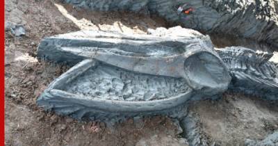 В Таиланде нашли кости загадочного "Левиафана" возрастом 5000 лет