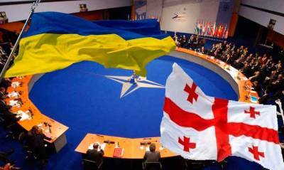Грузия и Украина могут стать членами НАТО — экс-советник главы Госдепа
