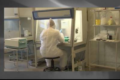 Проверка по жалобам показала, что в одной псковской лаборатории «зависло» 600 проб