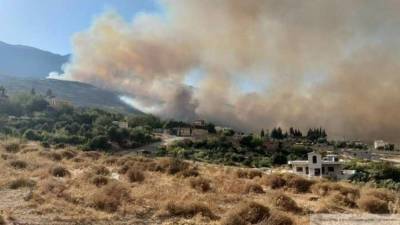 Руководство САР приняло меры по восстановлению страны после лесных пожаров