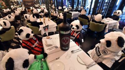 Плюшевые панды за столами: ресторатор устроил необычный протест – видео