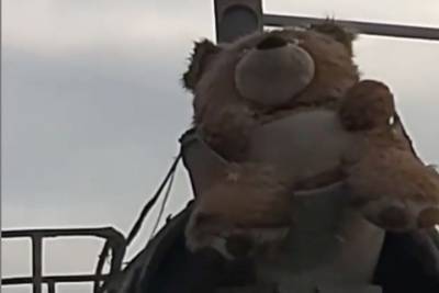 «БетоноМишаЛка»: в Улан-Удэ медведь обнаружился в неожиданном месте