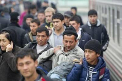Число приезжих мигрантов в Забайкалье сократилось в 2-3 раза в 2020 г.