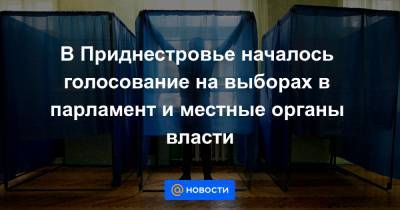 В Приднестровье началось голосование на выборах в парламент и местные органы власти
