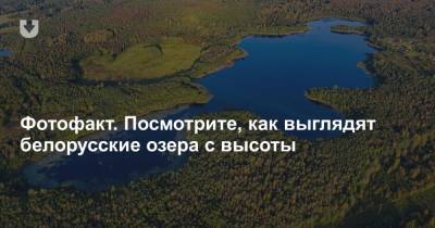 Фотофакт. Посмотрите, как выглядят белорусские озера с высоты