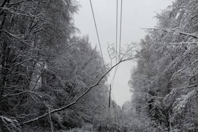 Энергетики завершают восстановление освещения в Тверской области после непогоды