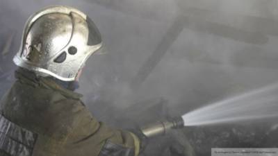 Пожар на крышах двух жилых домов потушили в Химках