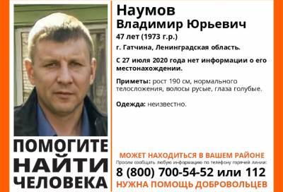 В Ленобласти ищут 47-летнего жителя Гатчины, пропавшего в конце июля