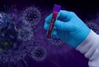 Где в Ленобласти выявили 212 новых случаев коронавируса на 29 ноября