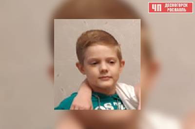 Завершен поиск 9-летнего мальчика, который пропал в Смоленской области