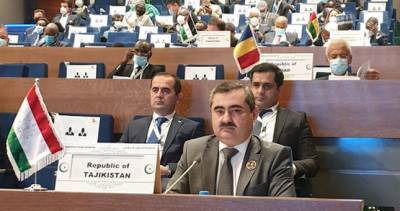 Таджикистан принимает участие в 47-м заседании Совета глав МИД стран ОИС в Нигере
